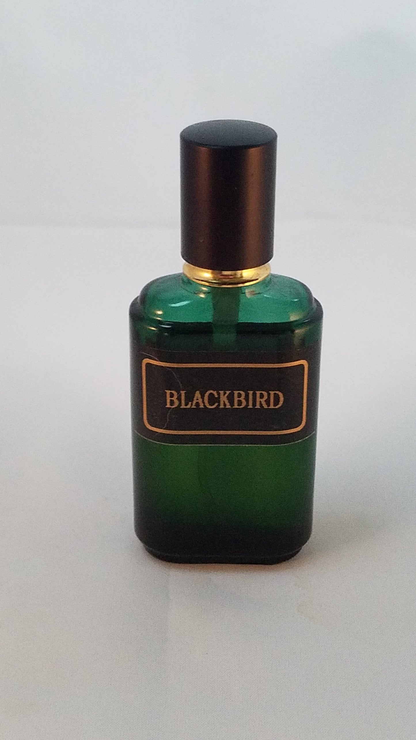 Blackbird